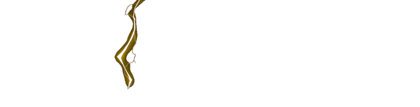 ZEUS838